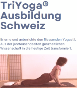 300h Ausbildung